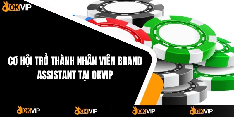 Cơ Hội Trở Thành Nhân Viên Brand Assistant Tại OKVIP
